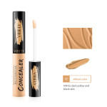 Concealer For Repairing Acne Marks With Concealer Solution