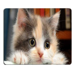 Cat Gift Cartoon Game Cartoon Mouse Pad