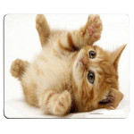 Cat Gift Cartoon Game Cartoon Mouse Pad