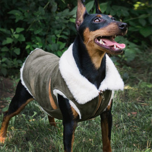 Pet Dog Cat Autumn And Winter Clothes Brown Suede Jacket