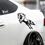 Feibenma Creative Decorative Car Sticker