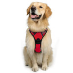 Large Dog Vest Leash For Dogs