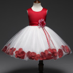 Cross border dress for children, girls, dresses, babies, princesses, dresses, skirts, flowers, dresses, children's wear