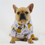 Spring And Summer Thin Pet Shirt Printing