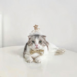 Pet Cat Birthday Gold And Silver Sequins Star Hat Bow