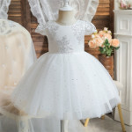 Girls 1 Year Birthday Dress Lace Wedding Flower Costume