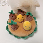 Sweet Potato Set Pet Toys