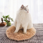 Pet Heating Waterproof Electric Blanket