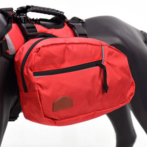 Removable Bag Pet Backpack Out