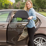 Car Sunscreen And Mosquito Screens And Catkins