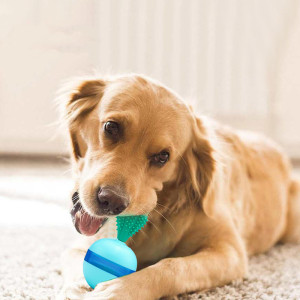 Pet Does Not Fall Down The Leakage Of Food Ball Toys