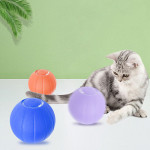 Smart Bouncing Rolling Silicone Ball Toy Funny Cat Bite