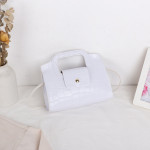 Serpentine Color Contrast Lock Chain Platinum Square Bag