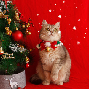 Cat Collar Scarf Pet ChristmasNew Year's