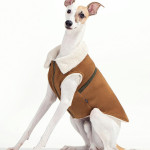 Pet Dog Cat Autumn And Winter Clothes Brown Suede Jacket