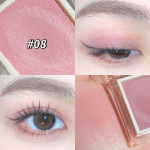 Beautiful Eye Shadow Plate Makeup Twelve Color Earth Tone