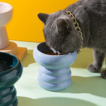 Ceramic Cat Food Tall Bowl