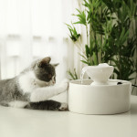 Smart Circulation Drinking Bowl Fountain Ceramic For Cats