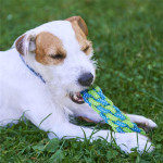 Durable Puppy Toys Dog Toys Prevent Boredom Anxiety Teething Knots Cotton Chew Toys For Small Pets