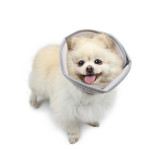 Folding Super Soft Pet Neck Ring To Prevent Biting