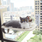 Cat Suction Cup Window Glass Hammock Pet Cat Pets Products