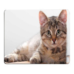 Cat Gift Cartoon Game Cartoon Mouse Pad