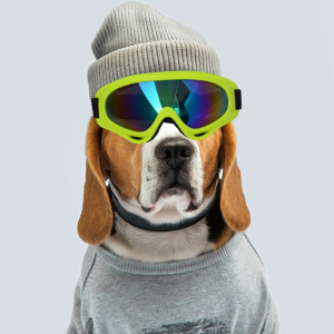 Outdoor Dog Sunglasses Decoration Fashion Matching