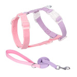 Color Matching Pet Leash Anti Breakaway