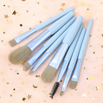 Simple Soft Hair Makeup Brush Set