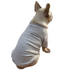 Short Sleeve Pet Parent-child Suit