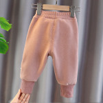 Winter Women's Thickened Warm Casual Pants