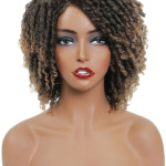 Amazon Braided Faux Locs Dreadlocks Wig