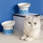 Cat Ceramic Protection Cervical Polka Dot Pet Bowl