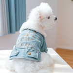 New Pet Plush Thick Denim Cotton Coat English Letters