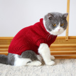 Autumn And Winter Clothes British Short Blue Cat Sweater