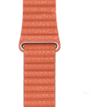 Leather Magnetic Absorption Leather Strap