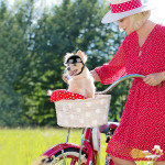 Pet Dog Motorcycle Out Decoration Helmet