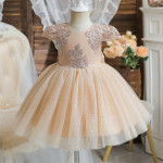 Girls 1 Year Birthday Dress Lace Wedding Flower Costume