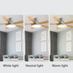 Domestic High Wind Low Floor Suction Fan Light