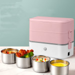 Double-layer Pluggable Portable Heated Lunch Box