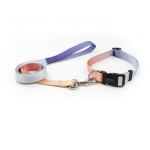 Nylon Pet Collar Traction Rope Set