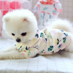 Small dog than the bear pomei thin summer cute shirt