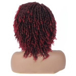 Amazon Braided Faux Locs Dreadlocks Wig