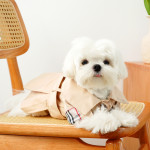 Autumn And Winter Pet Dress Teddy Bear Kitty Small And Medium-sized Dog Bulgari Clothes