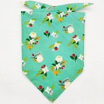 Fruit Green Leaf Pet Scarf Drool Towel