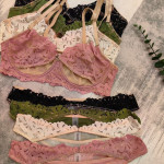 French Underwear Embroidery Lace Bra Set