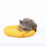 Woven Round Cat Litter Pet Bed Hanging Basket