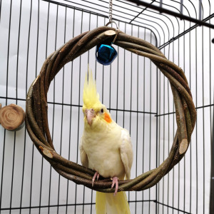 Bird Standing Frame Rattan Ring Chewing Toy Bird Cage