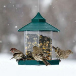 Waterproof hanging bird food box