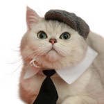 Pet Cat Gentleman Beret Tie Photo Props